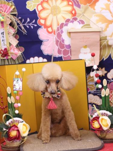 20240117リールちゃん